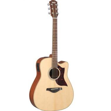 Acoustic Guitar A1M
